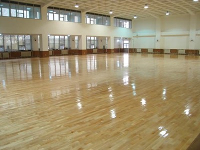 塑胶地板与运动场地材料全解析 哈尔滨塑胶跑道、人造草坪及塑胶球场施工