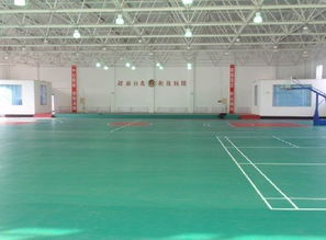 天津运动地板、廊坊PVC地板、唐山塑胶地板与沧州球场地板厂家图片展示