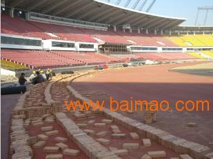 预制型环保橡胶跑道 绿通塑胶制品的专业供应与塑胶地板批发