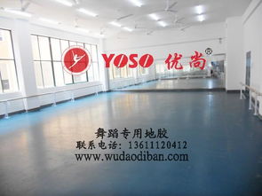 专业舞蹈塑胶地板 保护、减震、排压与批发的全方位解析